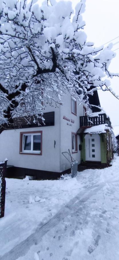 Haus Elli Διαμέρισμα Greifenburg Εξωτερικό φωτογραφία