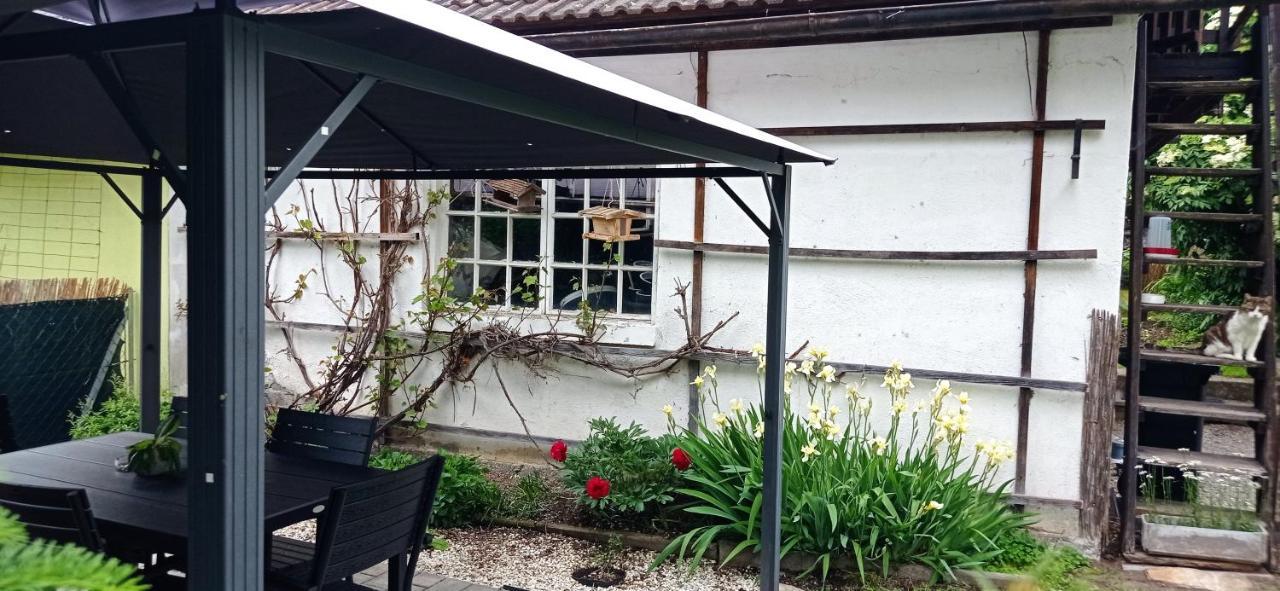 Haus Elli Διαμέρισμα Greifenburg Εξωτερικό φωτογραφία