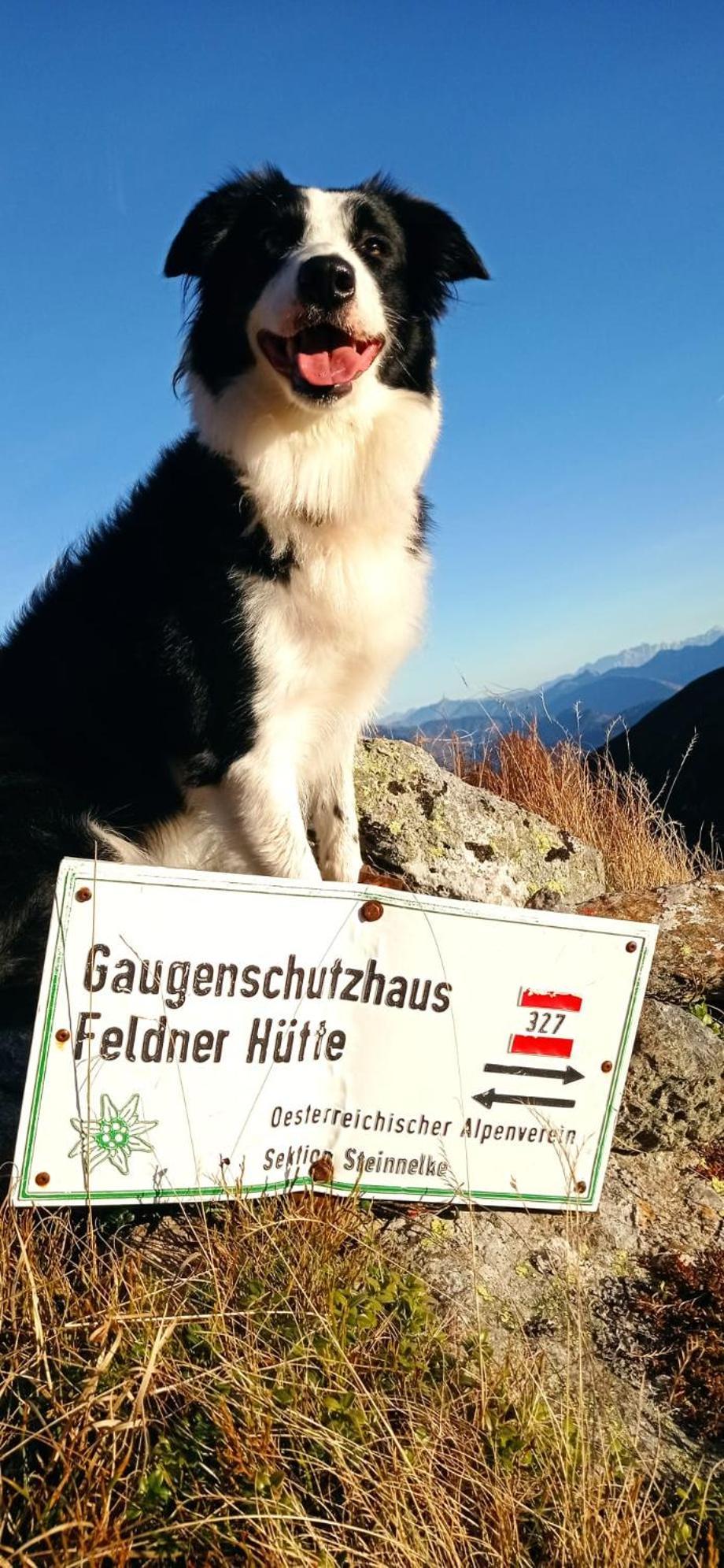 Haus Elli Διαμέρισμα Greifenburg Εξωτερικό φωτογραφία
