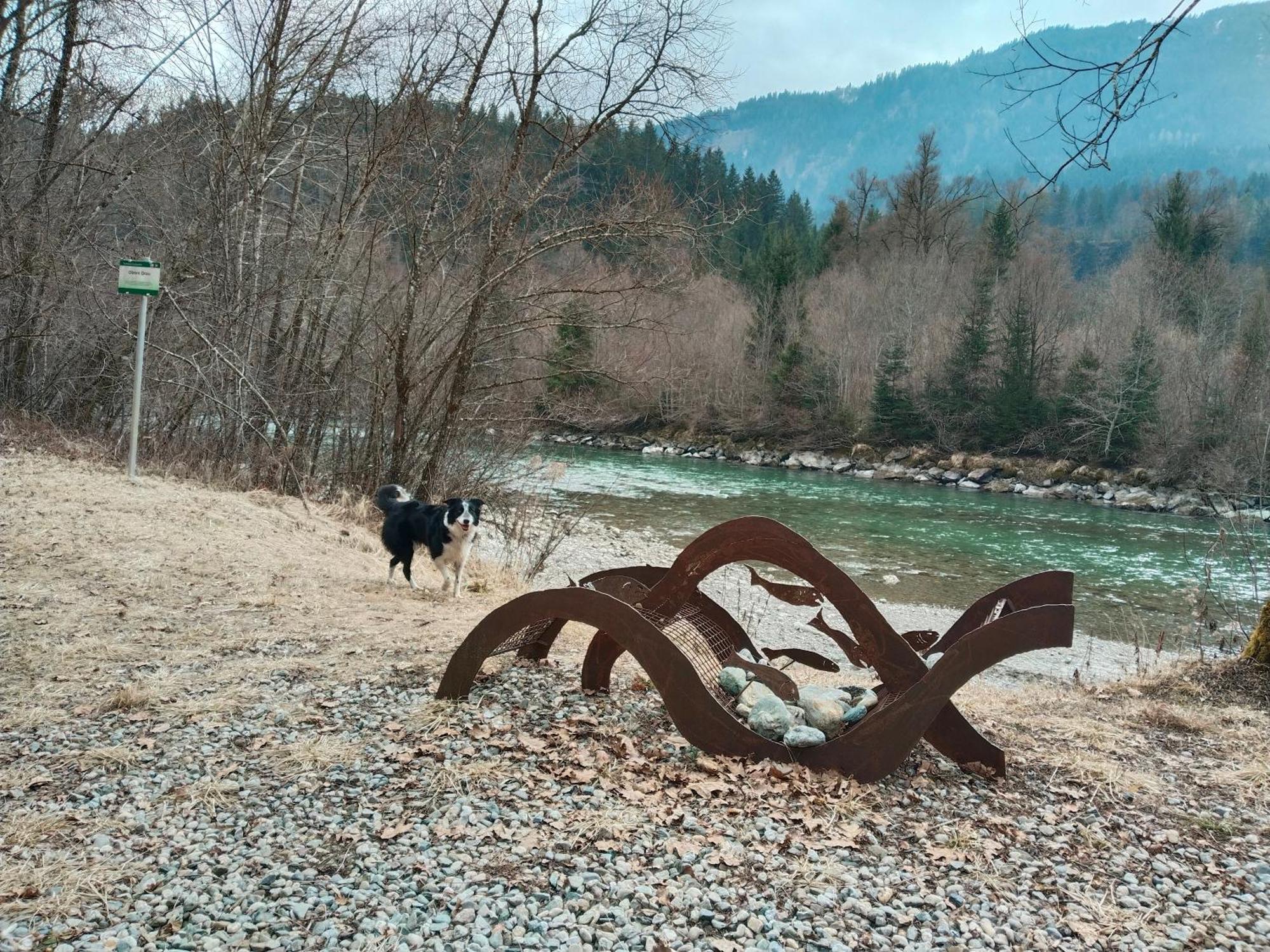 Haus Elli Διαμέρισμα Greifenburg Εξωτερικό φωτογραφία